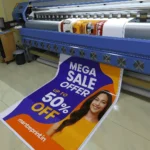 Solvent Normal Flex Print 10 sq.ft